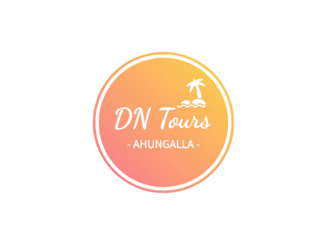 DN Tours