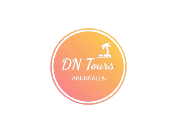 DN Tours Logo